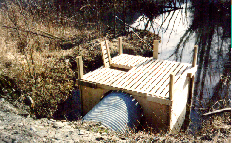 After shot of a beaver box installed on Dump Creek