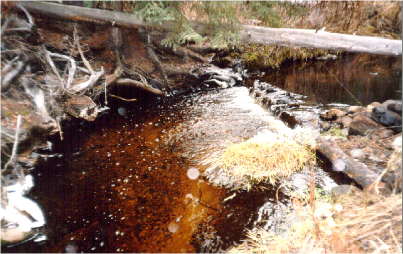 Site 8 on Marjorie Creek at extreme low flows during August 1998 installation and approaching bank full conditions on November 12, 1998