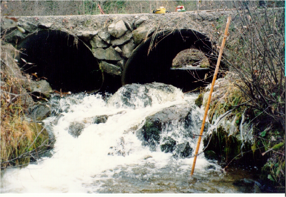 Culvert site at 19 km - 1300 Rd, Cottonwood River watershed limiting fish access to 1.75 km of habitat. The outfall drop of 30 cm was followed by a cascade of 80cm height.