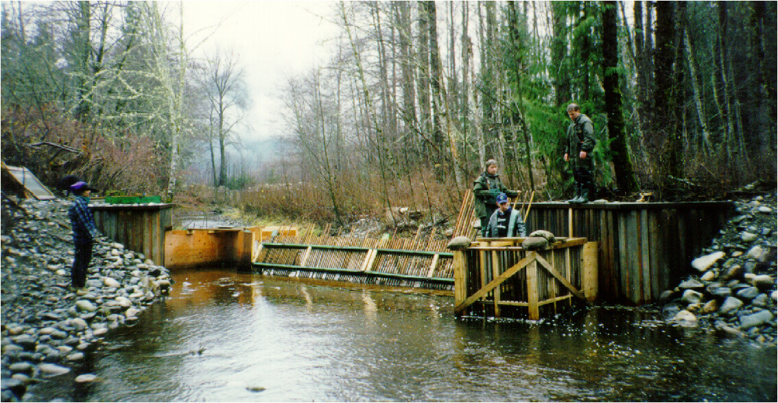 Fish counting fence constructed on lower Hagensborg Slough
