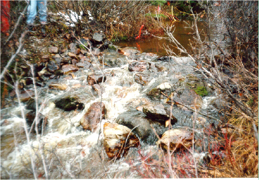 Hand constructed rock riffle completed on Rebman Creek mainstem, Willow River watershed