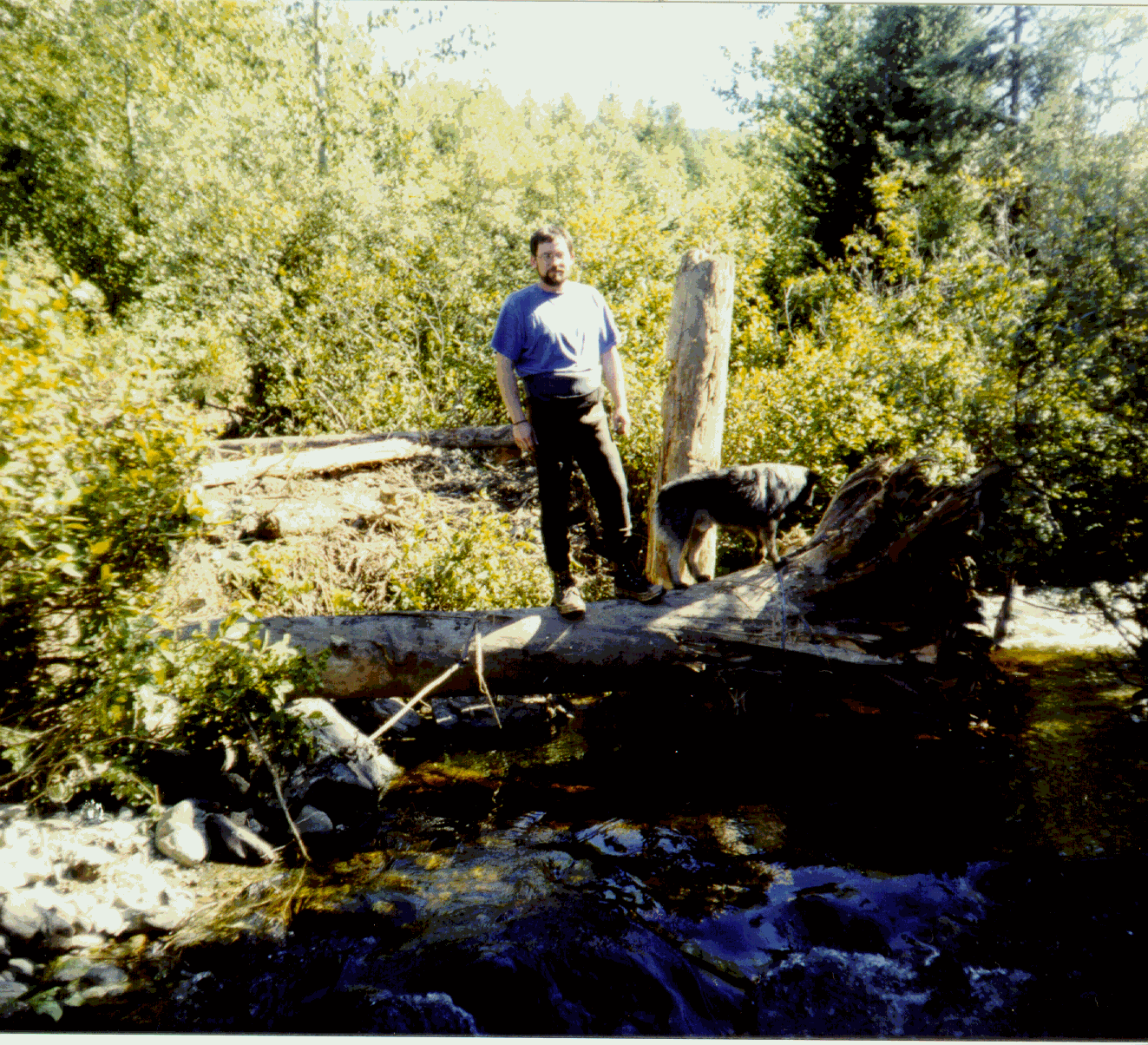 Figure 1: Pool complexing with LWD on Rebman Creek, Cariboo Region.