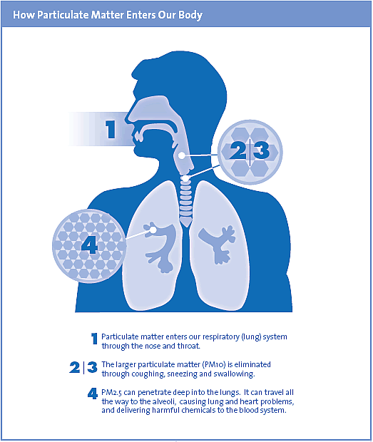 How Particulate Matter Enters Our Body