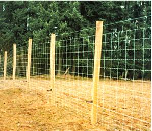 Typical Elk Exclusion Fence Using Woven Wire