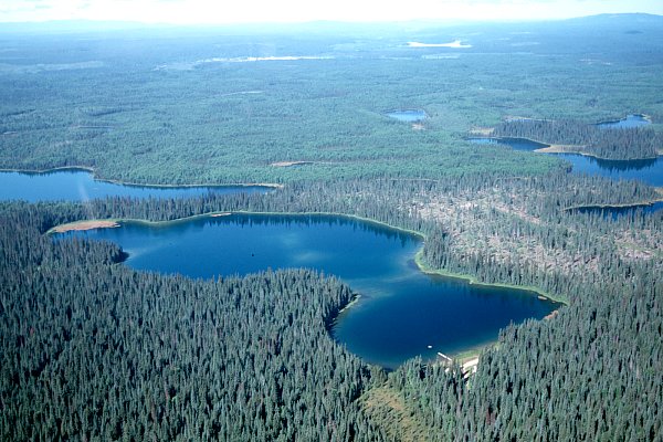 PHOTO 1. Aerial view of Amanita Lake, July 2000.