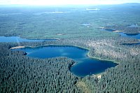 PHOTO 1. Amanita Lake Aerial Photo, 2000.