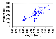 FIGURE 2. Length vs. weight of  rainbow trout sampled in Angly Lake, August 6, 1999.