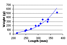 FIGURE 2. Length vs. weight of rainbow trout sampled in Berman Lake, July 22, 1999.