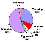 FIGURE 2. Percent maturity class of brook trout sampled in Bow Lake, August 12, 1999.