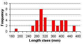 FIGURE 3. Length frequency distribution of brook trout sampled in Bow Lake.