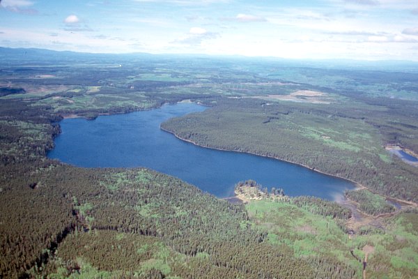 PHOTO 1. Aerial view of Cobb Lake, July 2000.