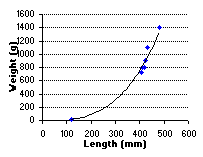 FIGURE 2. Length vs. weight of brook trout in Ferguson Lake