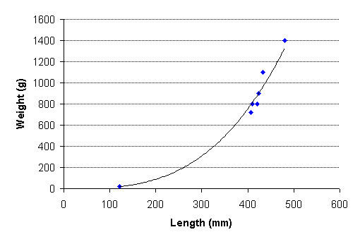 FIGURE 2. Length vs. weight of brook trout captured in Ferguson Lake, August 17, 1999.