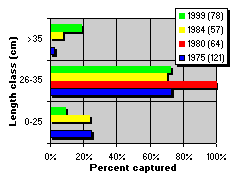 FIGURE 4. Relative catch of rainbow trout by length class, comparing creel (1975,1980) and gill net (1984,1999) results. Numbers in brackets indicate sample size.