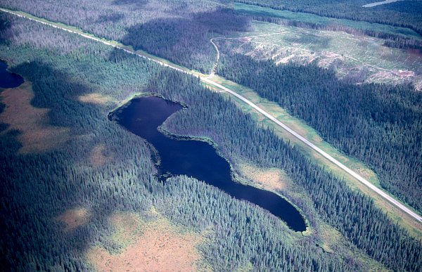 Aerial view of LaSalle Lake (East) July 2000