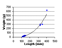 FIGURE 2. Length vs. weight of rainbow trout in Portal Lake