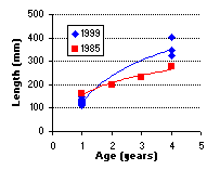 FIGURE 4. Age vs. length of rainbow trout captured in Portal Lake, August 11, 1999