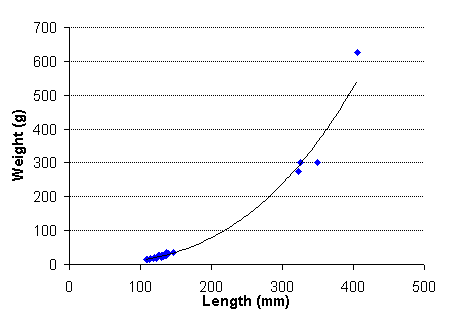 FIGURE 2. Length vs. weight of rainbow trout captured in Portal Lake, August 11, 1999.