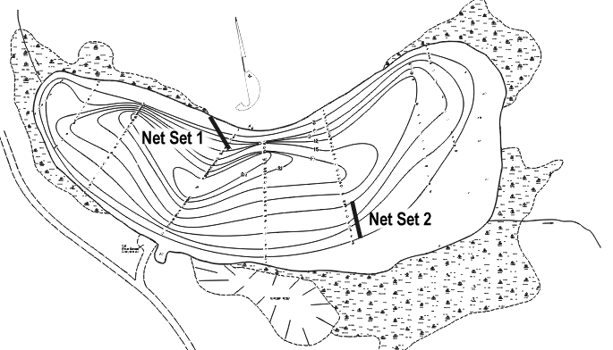 FIGURE 1. Location of Samill Lake gill net sets, August 17-19, 1999.
