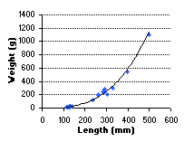 FIGURE 2. Length vs. weight of rainbow trout in Sawmill Lake
