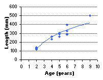 FIGURE 4. Age vs. length of rainbow trout captured in Sawmill Lake, August 19, 1999