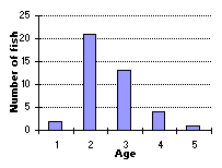 FIGURE 5. Age frequency distribution of brook trout sampled in Shere Lake, May 21, 1998