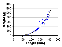 FIGURE 6. Length vs. weight of brook trout sampled in Shere Lake, May 21, 1998