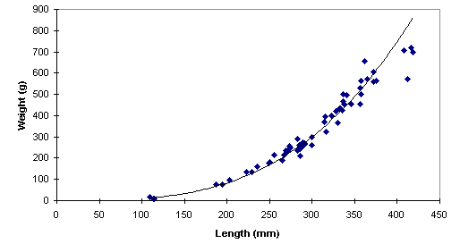 FIGURE 2. Length vs. weight of rainbow trout captured in Trapping Lake, June 3, 1998.