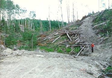 PHOTO 2. Trapping Lake outlet, 1987