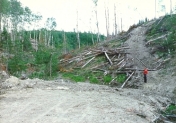 Trapping Lake outlet,1987