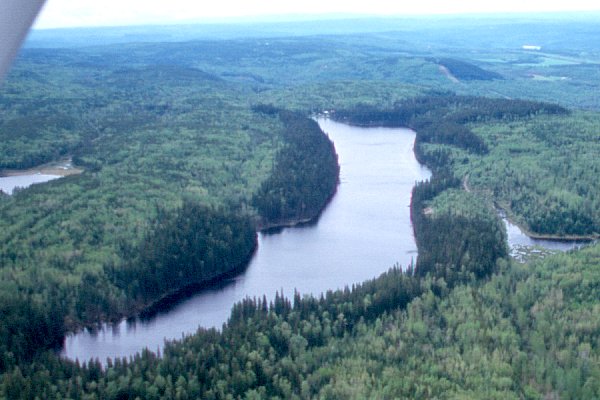 PHOTO 1. Aerial view of Trapping Lake, July 2000.