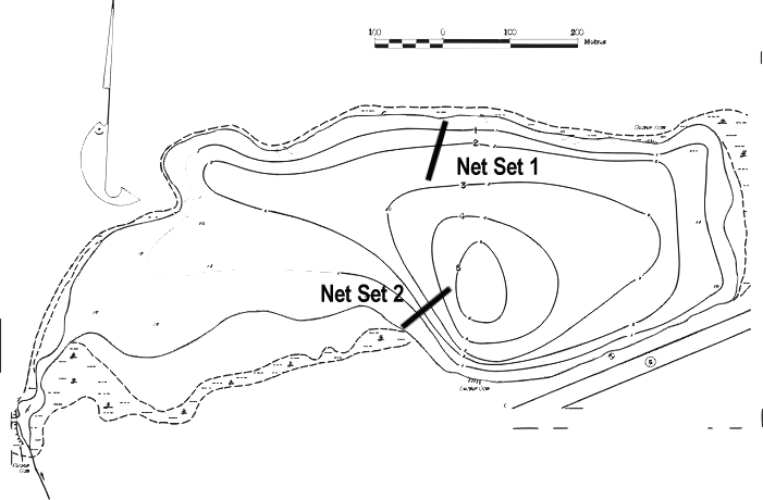 FIGURE 1. Location of Witney Lake gill net sets, August 11 - 13, 1999.