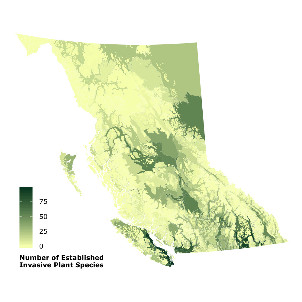 Maps showing the number of established invasive plant species across B.C.