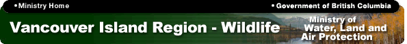 VI Region - Wildlife