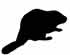 Beaver