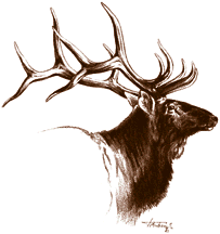 Elk