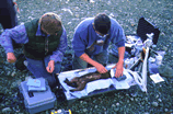 field exam