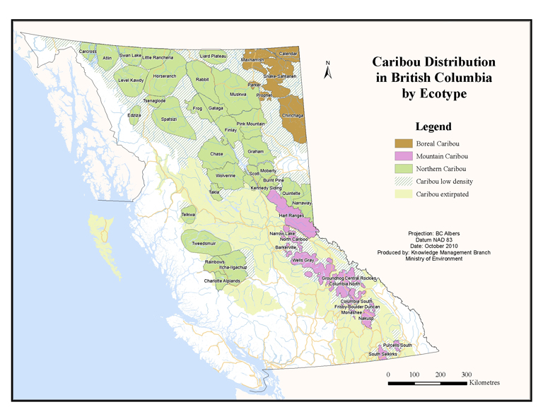 caribou distribution by ecotype