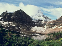 Alpine Meadow