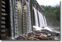 Seymour Falls - S. Morgan
