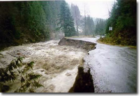 Washout - M. J. Jojic