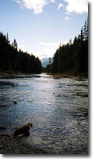 Isaac River, Bowron Lakes Park - J. Guay