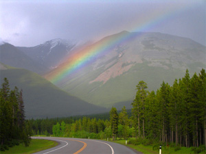 BC Rainbow