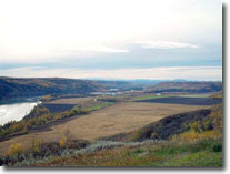 Peace River - C. R. Piccini