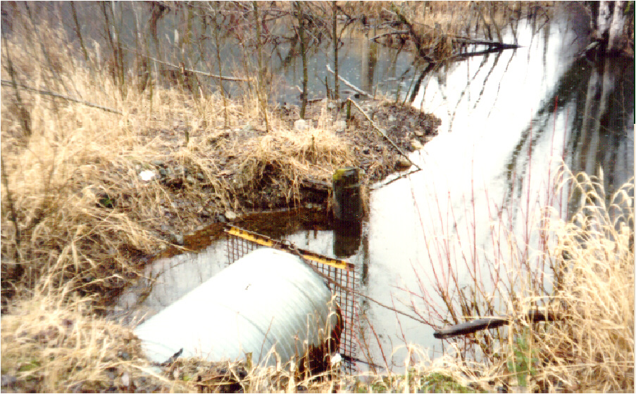 Before shot of a beaver box installed on Dump Creek