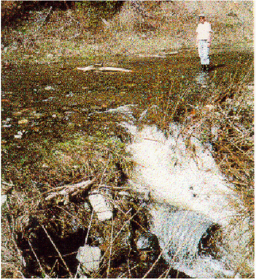 Figure 6-1. Culvert prior to replacement:
