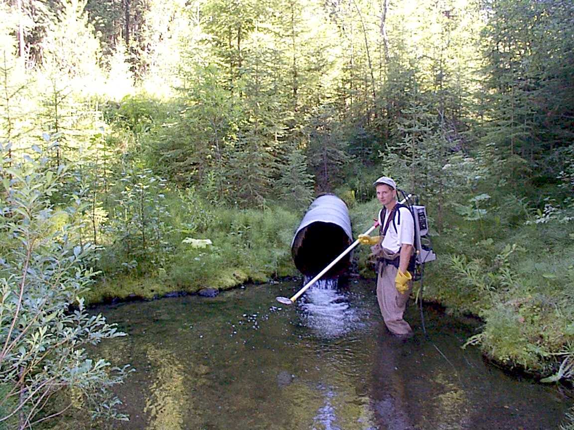 Figure 3-1. Outfall of culvert