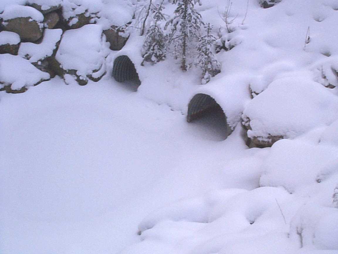 Figure 2-2. Culverts backflooded after weir installation.