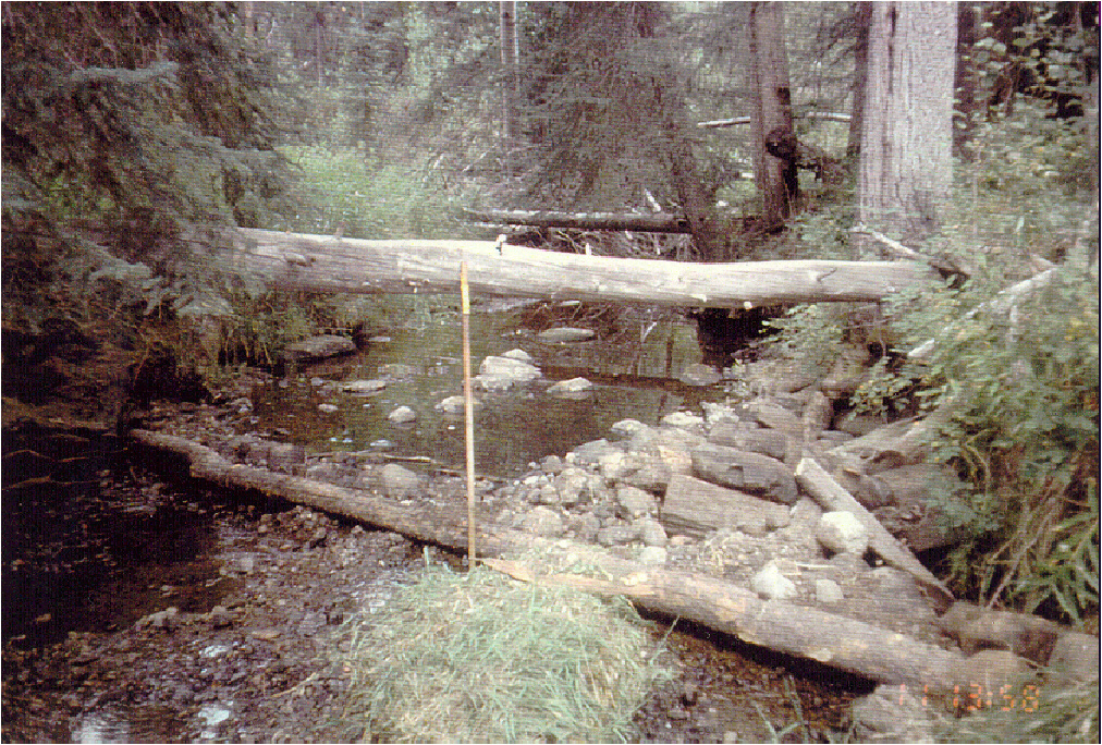 Site 8 on Marjorie Creek at extreme low flows during August 1998 installation and approaching bank full conditions on November 12, 1998