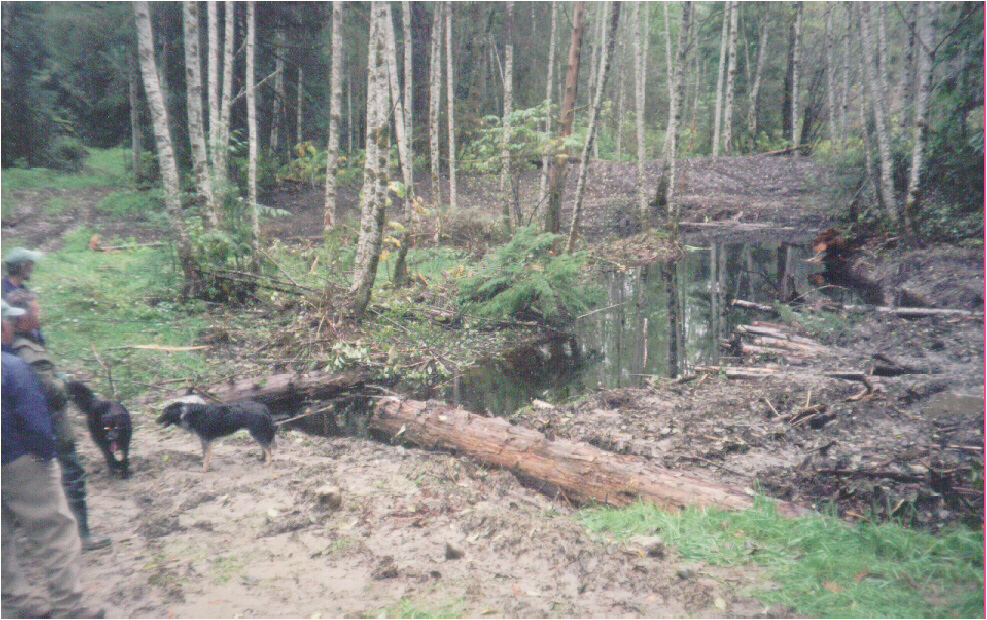 Overwinter pond excavation on Epp Creek prior to wood complexing